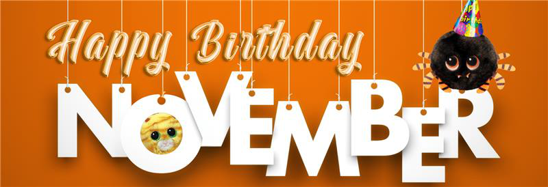 Lion and leopard beanies wearing birthday hats with August in the background